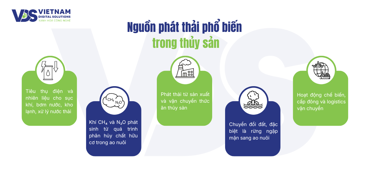 nguon-phat-thai-pho-bien-trong-thuy-san